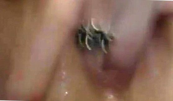 swallow, порно видео